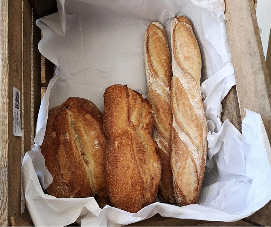 Piedicroce  Le Refuge Orezza מראה חיצוני תמונה